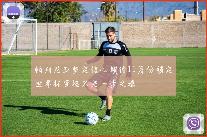 帕利尼亚坚定信心期待11月份锁定世界杯资格只差一步之遥