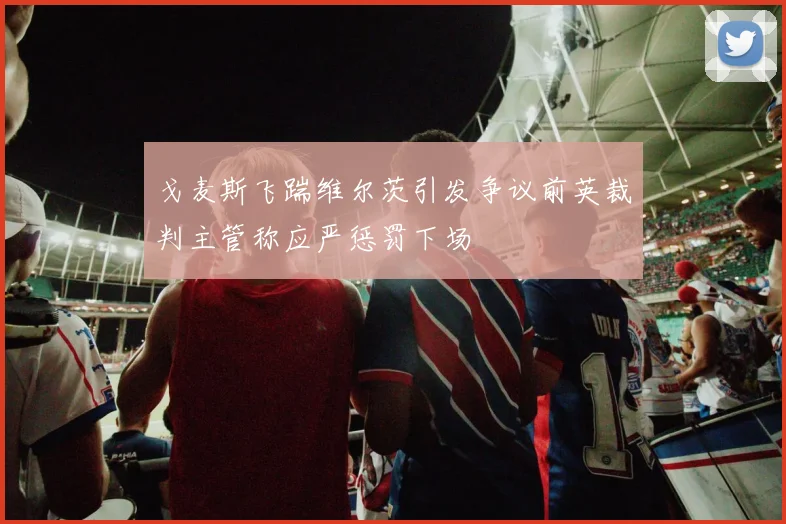 戈麦斯飞踹维尔茨引发争议前英裁判主管称应严惩罚下场