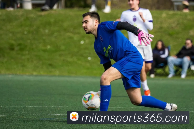 米兰体育APP 封面图